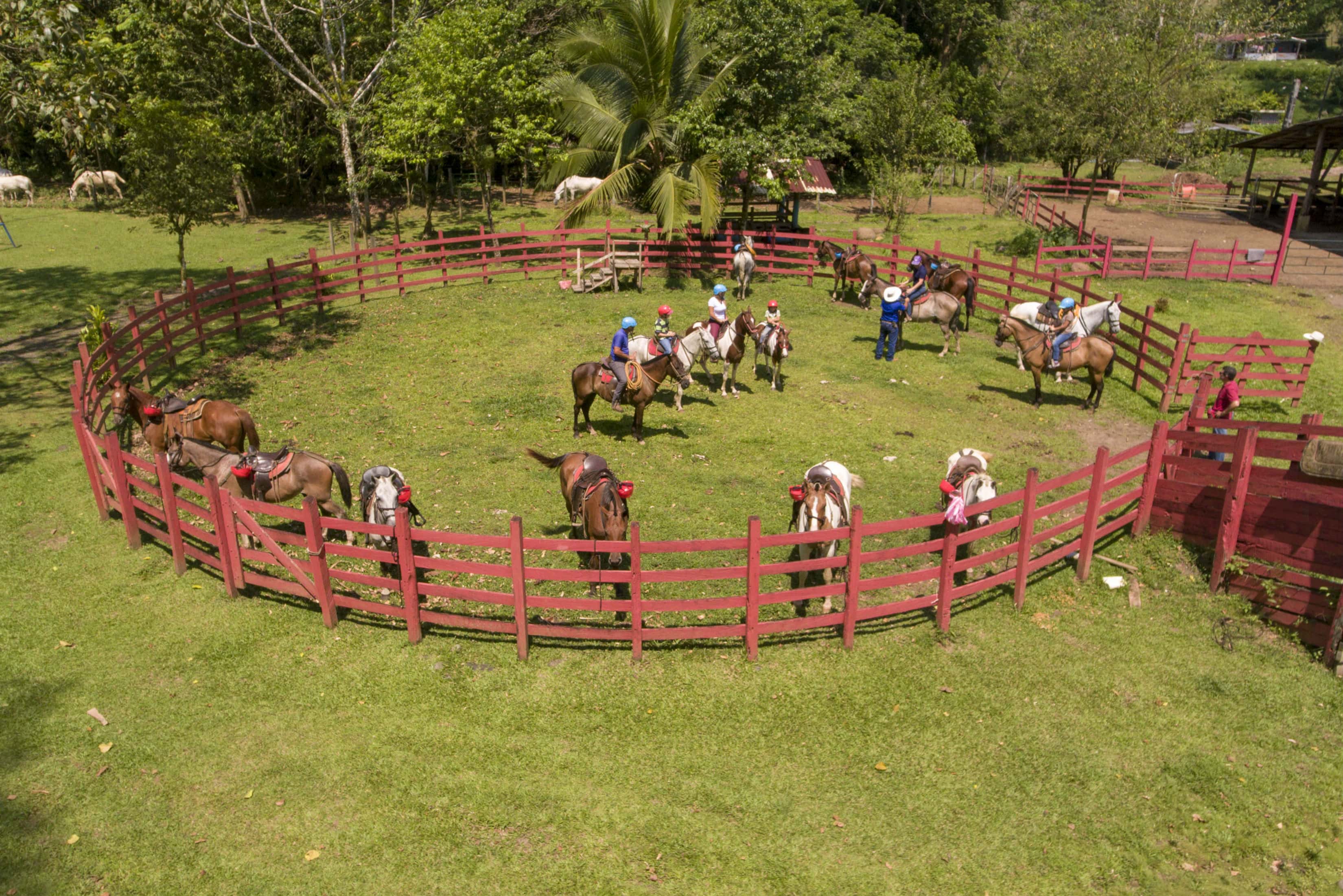 Horse Ride Pozo Azul