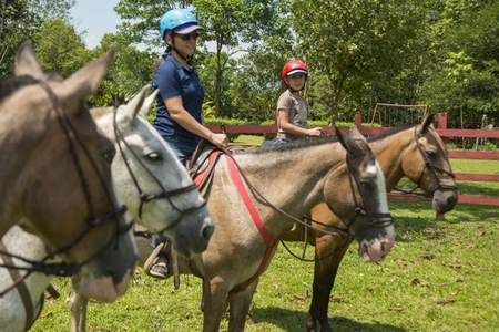 Cabalgata de 2 horas